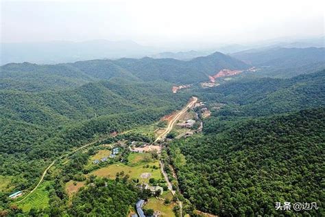 廣西十萬大山|十萬大山國家森林公園 (上思縣)